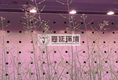 8中國農(nóng)科院生物技術(shù)所 (1).png