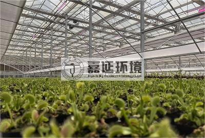 云南省農業科學院花卉研究所.jpg